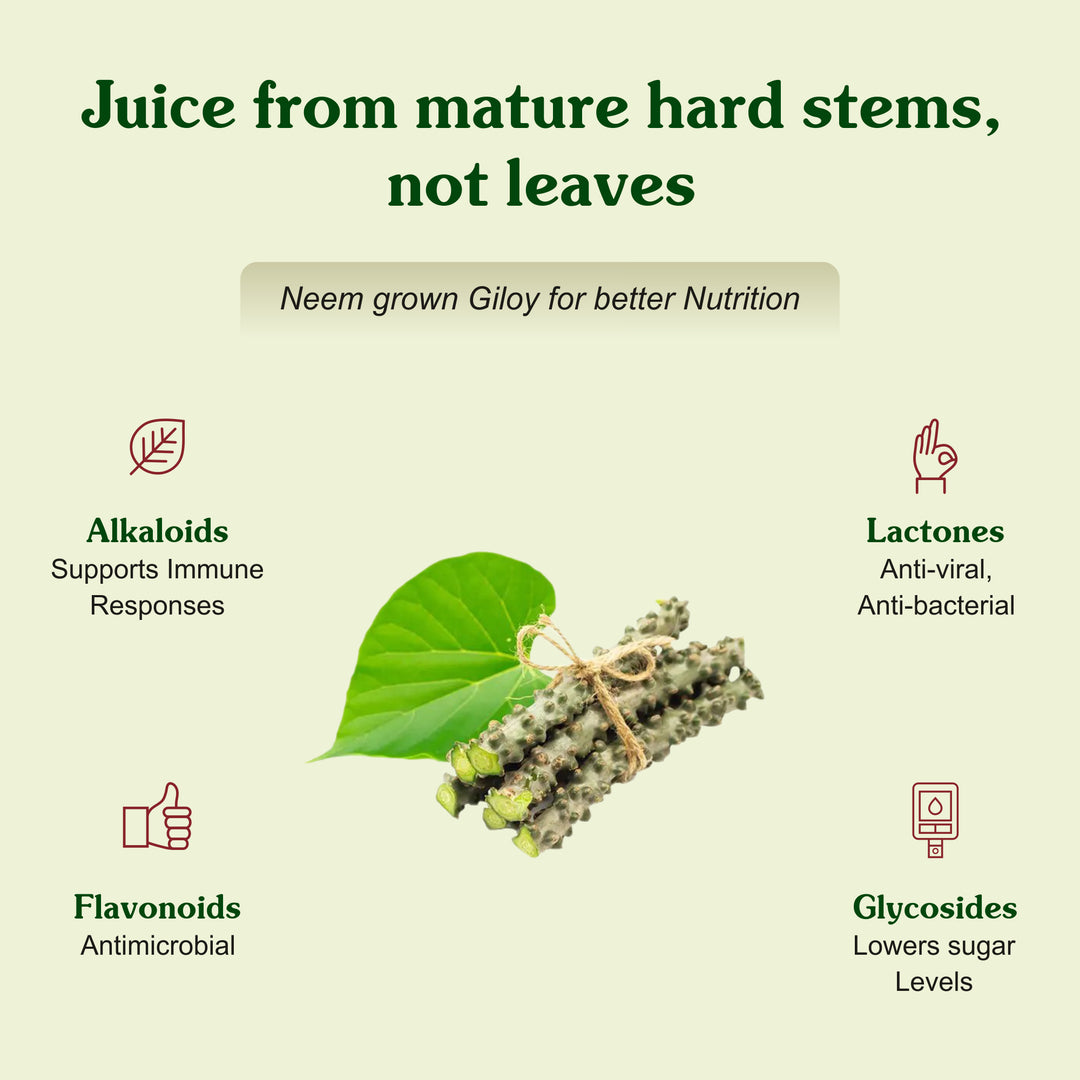 Jagdamba Herbal Giloy Syrup Close-Up | Premium Ayurvedic Herbal Immunity Booster for Natural Detox, Liver Care and Digestive Health