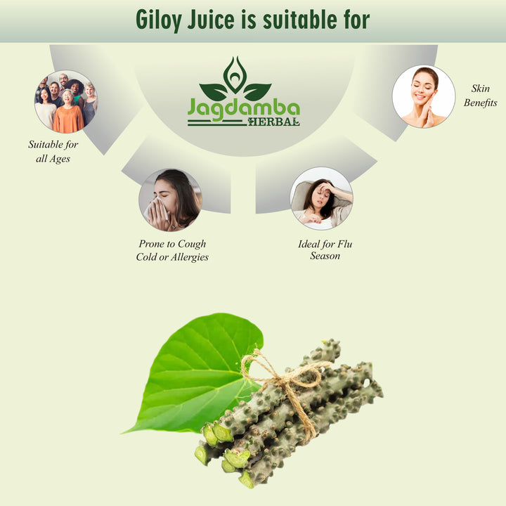 Giloy Syrup Front Bottle | Ayurvedic Herbal Immunity Booster for Daily Health, Detoxification, Digestion and Energy Support