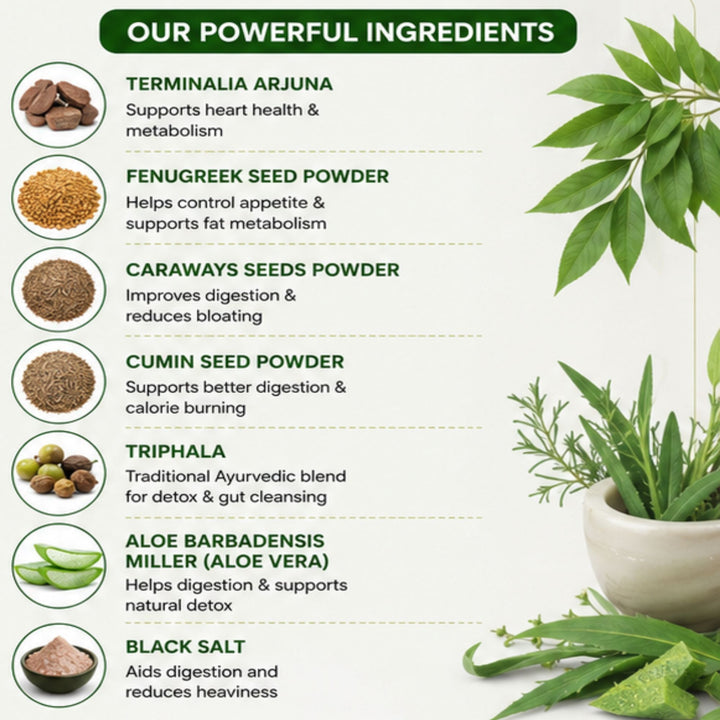 Natural Herbal Ingredients in Jagdamba Herbal Fit & Fine Powder
